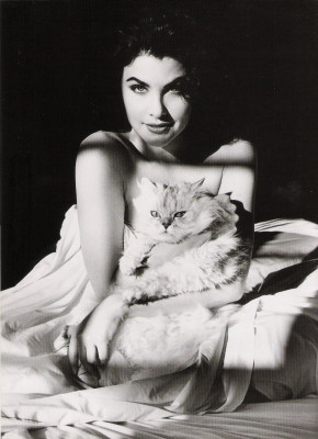photo 23 in Sherilyn Fenn gallery [id942861] 2017-02-23 00:00:00
