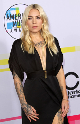 Skylar Grey - American Music Awards 11/19/2017