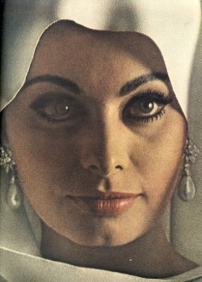 Sophia Loren pic #151623