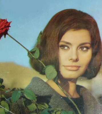 Sophia Loren pic #151548
