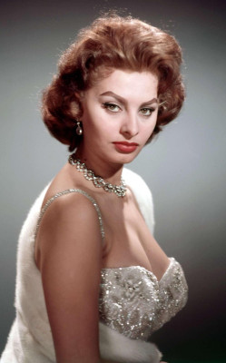 Sophia Loren pic #377152