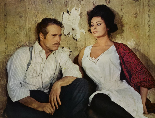 Sophia Loren pic #286777