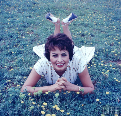 Sophia Loren pic #249744