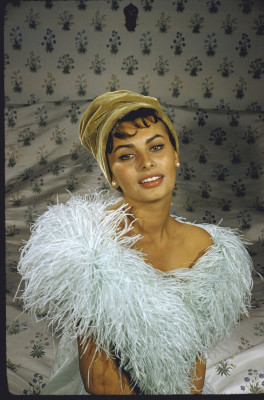 Sophia Loren pic #286779