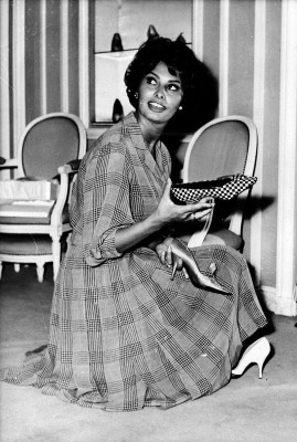 Sophia Loren pic #997588