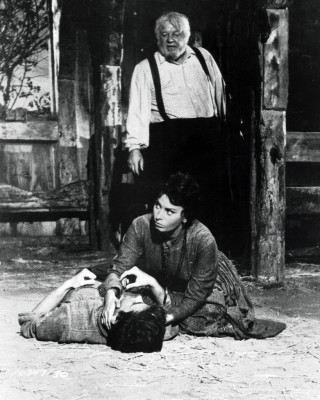 Софи Лорен - фильм &quot;Любовь под вязами&quot;