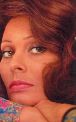Sophia Loren pic #151892