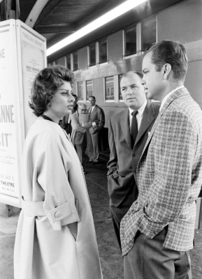 photo 8 in Sophia Loren gallery [id498212] 2012-04-17 00:00:00