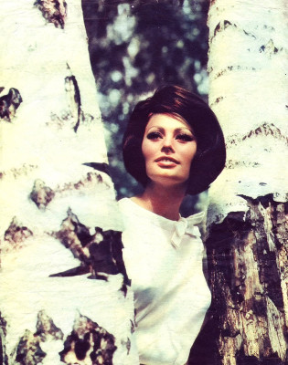 Sophia Loren pic #400094