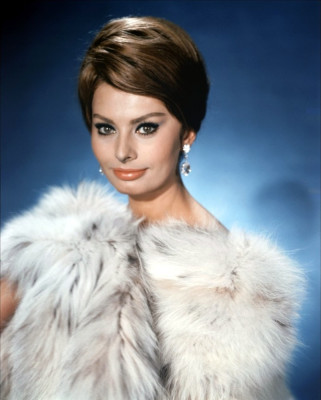 Sophia Loren pic #512702