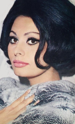 Sophia Loren pic #391229