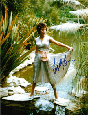 Sophia Loren pic #379048