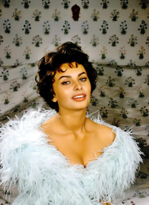 Sophia Loren pic #381184