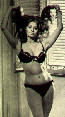 Sophia Loren pic #151865