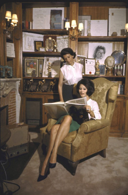 Sophia Loren pic #289044