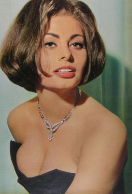 Sophia Loren pic #284653