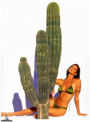 photo 4 in Stacy Williams gallery [id6240] -0001-11-30 00:00:00