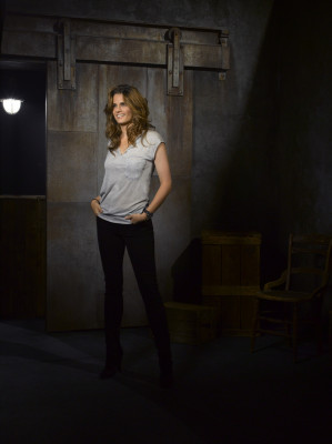 photo 17 in Stana Katic gallery [id718807] 2014-04-09 00:00:00