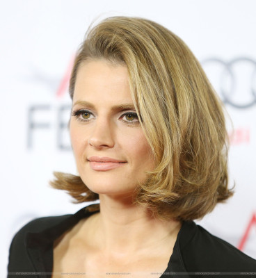 photo 11 in Stana Katic gallery [id677921] 2013-11-12 00:00:00