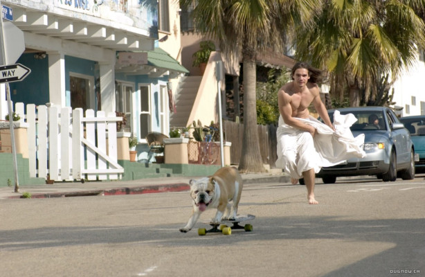 photo 19 in Steven Strait gallery [id190912] 2009-09-25 00:00:00
