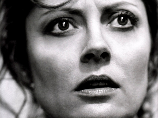 photo 15 in Sarandon gallery [id241684] 2010-02-08 00:00:00