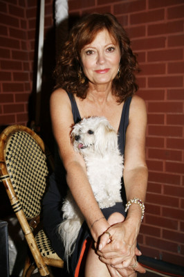 photo 17 in Sarandon gallery [id241682] 2010-02-08 00:00:00