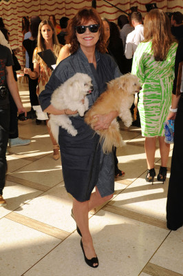 photo 13 in Susan Sarandon gallery [id599807] 2013-01-23 00:00:00