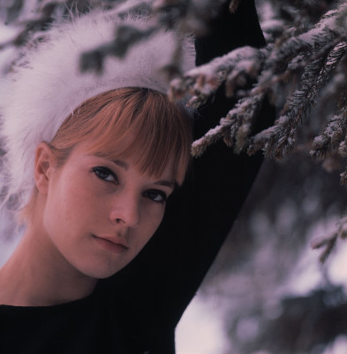 Sylvie Vartan pic #389912