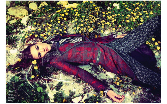 photo 8 in Morton gallery [id679020] 2013-11-19 00:00:00