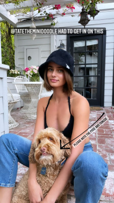Taylor Hill pic #1291645
