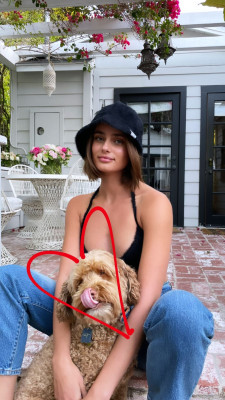 Taylor Hill pic #1291646