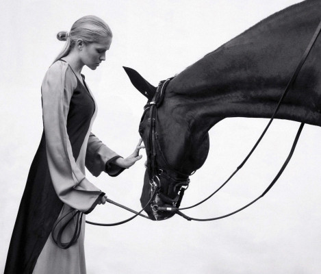 Teresa Palmer for Harper's Bazaar // 2019