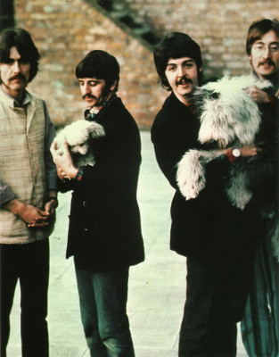 The Beatles pic #619849