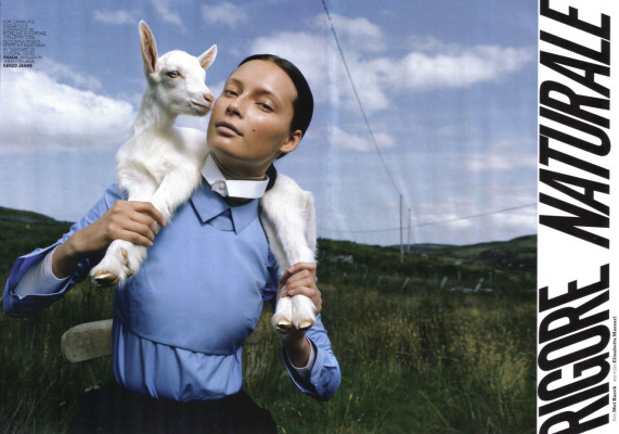 photo 22 in Kuik gallery [id113876] 2008-10-27 00:00:00