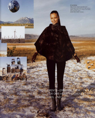 photo 18 in Kuik gallery [id247232] 2010-02-27 00:00:00