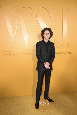 Timothée Chalamet - WSJ Magazine Innovator Awards in New York 11/01/2023