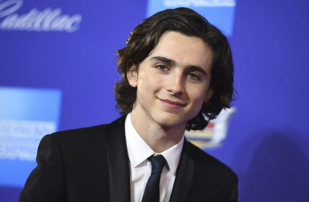 Timothée Chalamet - 29th Palm Springs International Film Festival 01/02/2018