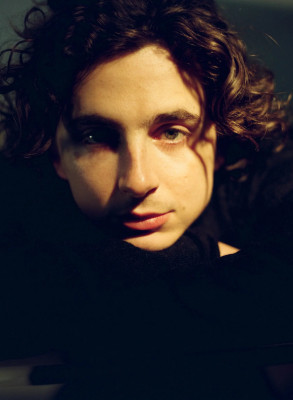 Timothée Chalamet by Chantal Anderson for The New York Times (LA 02/02/2024)