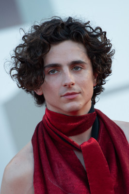 Timothée Chalamet - &#039;Bones and All&#039; Premiere at 79th VIFF 09/02/2022