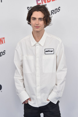 Timothée Chalamet - 33rd Film Independent Spirit Awards in Santa Monica 03/03/18