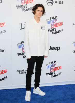 Timothée Chalamet - 33rd Film Independent Spirit Awards in Santa Monica 03/03/18