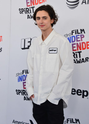 Timothée Chalamet - 33rd Film Independent Spirit Awards in Santa Monica 03/03/18