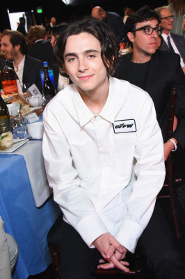 Timothée Chalamet - 33rd Film Independent Spirit Awards in Santa Monica 03/03/18