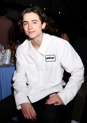 Timothée Chalamet - 33rd Film Independent Spirit Awards in Santa Monica 03/03/18