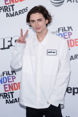 Timothée Chalamet - 33rd Film Independent Spirit Awards in Santa Monica 03/03/18