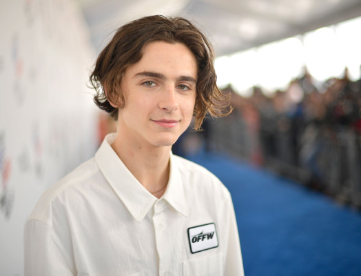 Timothée Chalamet - 33rd Film Independent Spirit Awards in Santa Monica 03/03/18