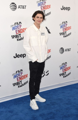 Timothée Chalamet - 33rd Film Independent Spirit Awards in Santa Monica 03/03/18