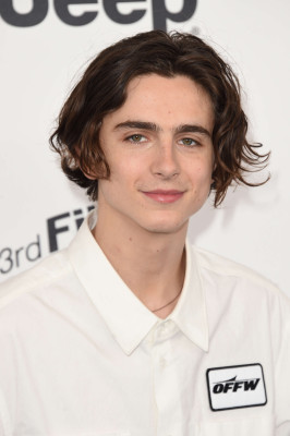 Timothée Chalamet - 33rd Film Independent Spirit Awards in Santa Monica 03/03/18