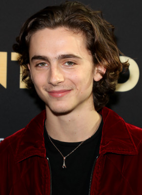 Timothée Chalamet - Deadline Hollywood Presents The Contenders in LA 11/04/2017