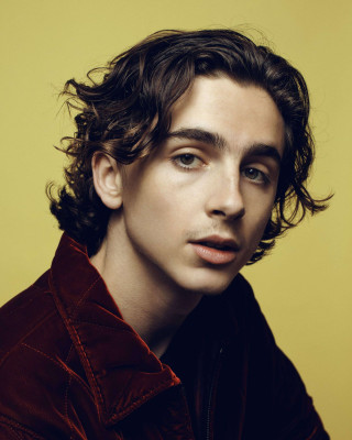 Timothée Chalamet by Ryan Pfluger for The New York Times (Los Angeles 11/04/17))